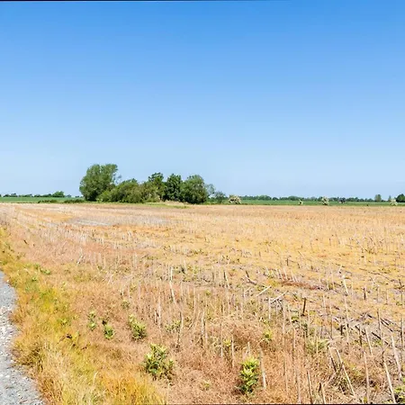 Eliane - 1-8km From The Sea In Funen By Interhome Holiday home *
