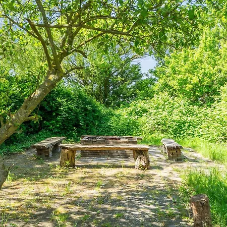 Hébergement de vacances Holiday Home Eliane - 1-8Km From The Sea By Interhome